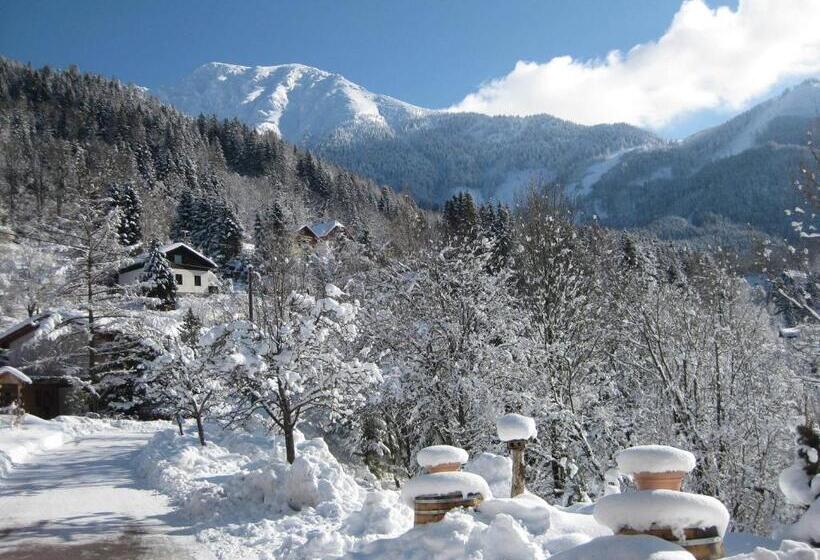 مبيت وإفطار Landhaus Seebacher