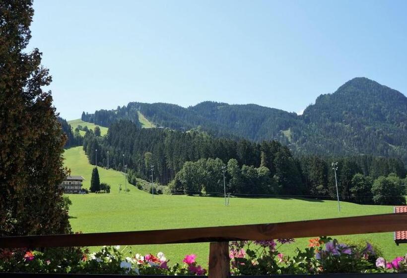 Bed and Breakfast Pension Alpina