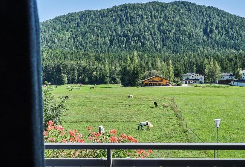 酒店 Design Apartments & Zimmer   Zugspitze