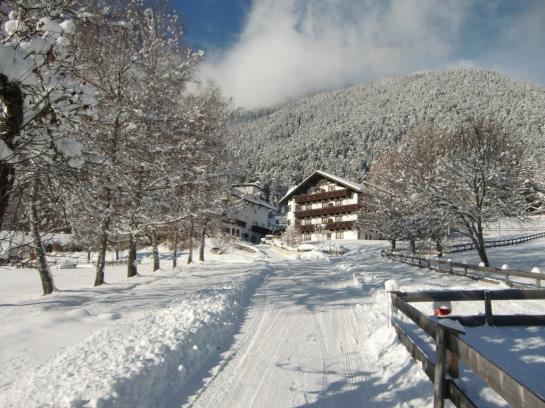 酒店 Linserhof Bed&breakfast