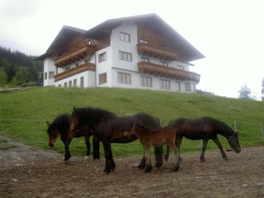 تختخواب و صبحانه Pension Asingerhof