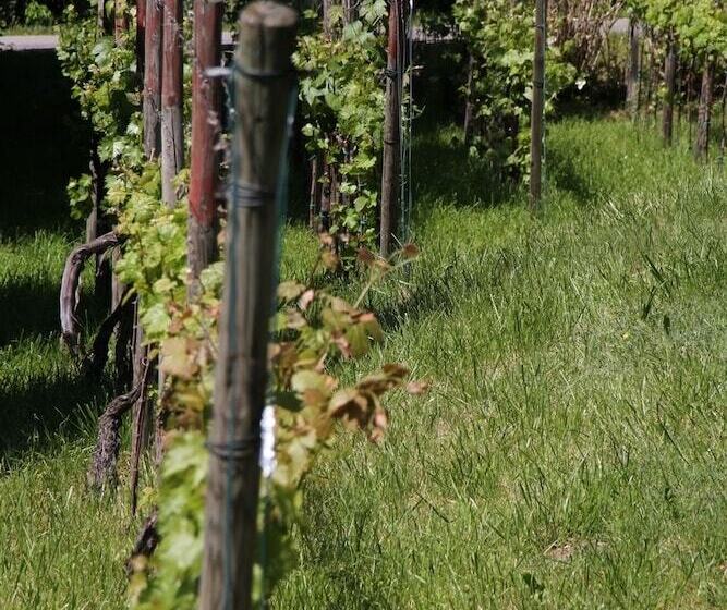 Landhaus Strussnighof