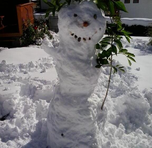 פנסיון Gästehaus Bergland