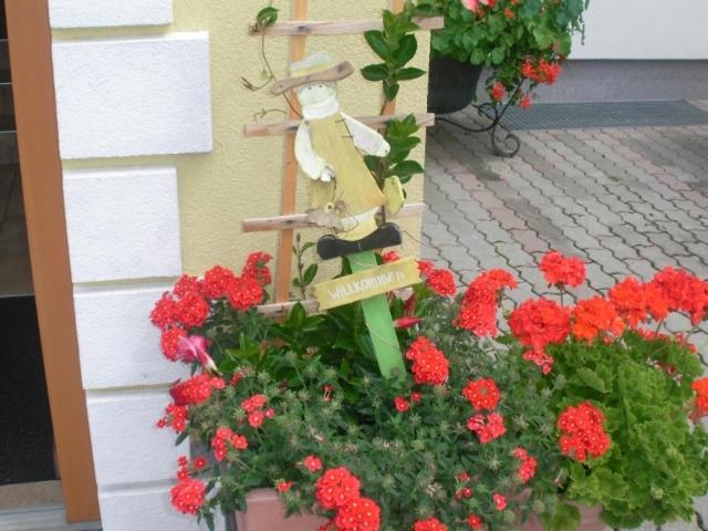Waldschönau