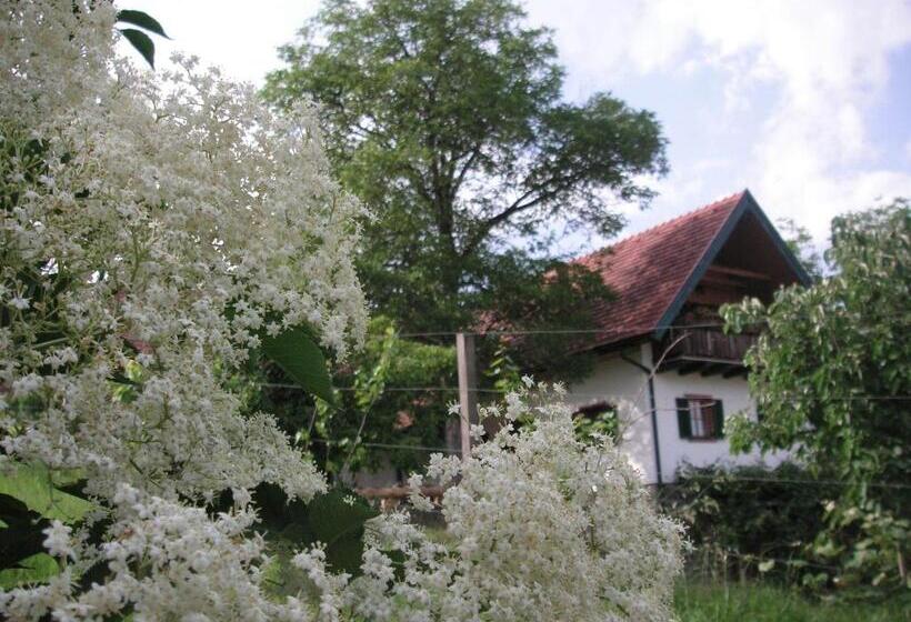 Bauernhof Grain
