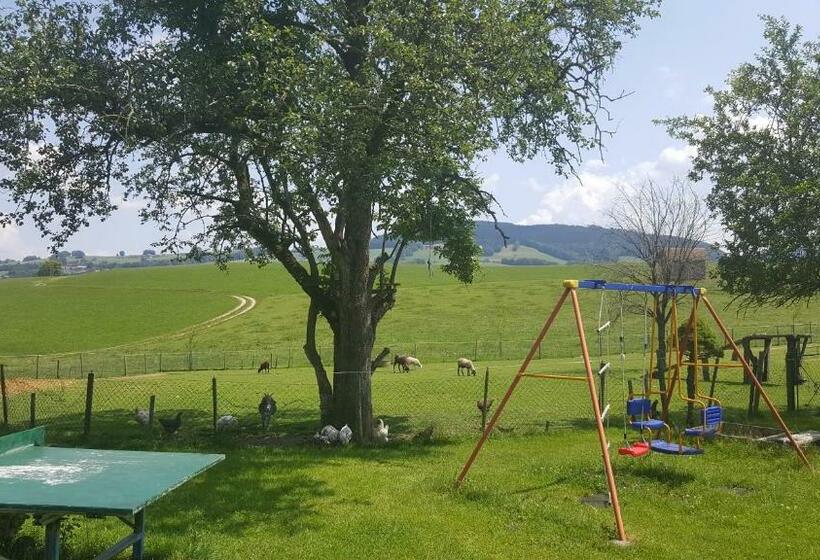 Bed and Breakfast Pension Zenzlgut