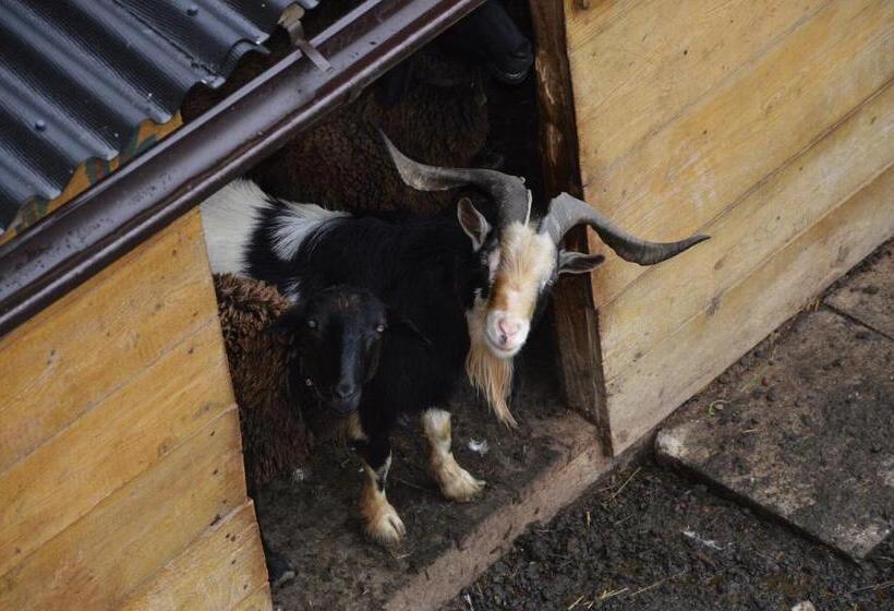 Bed and Breakfast Pension Zenzlgut