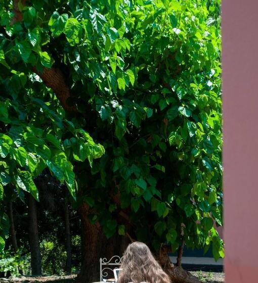 هتل Antico Borgo Etneo Agriturismo