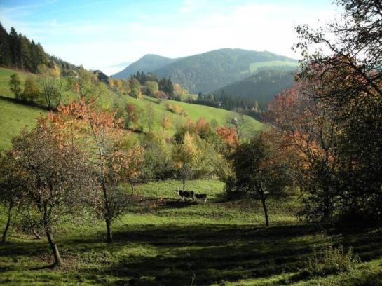 Urlaub Am Bauernhof Grabenhofer