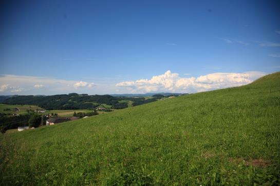 Bauernhof Familie Haunschmid