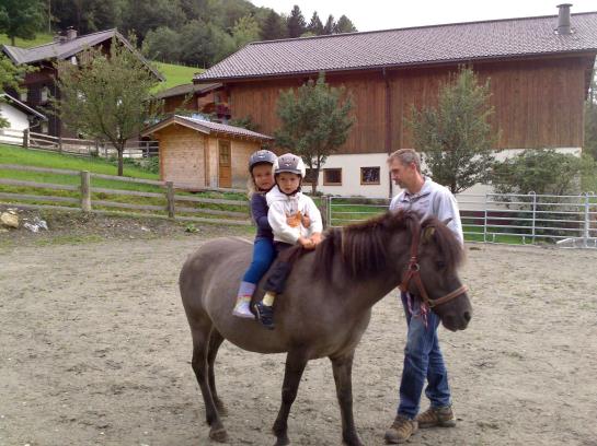 Bauernhof Weidinghof
