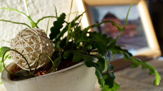 住宿加早餐  Gasthof Pension Kirchenwirt