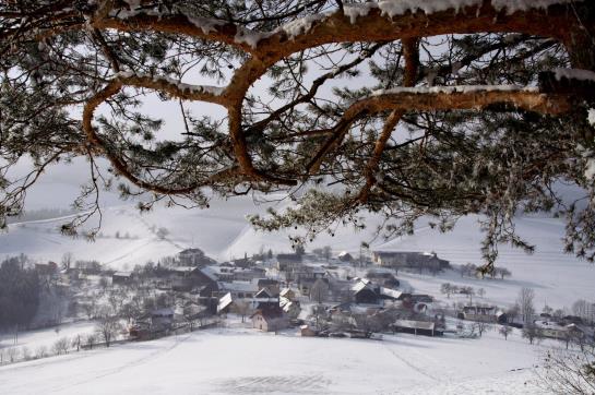 בית מלון כפרי Holzgethan