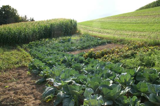 בית מלון כפרי Holzgethan