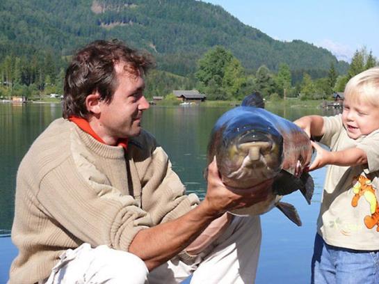 فندق Kolbitsch Am Weissensee Ein Seeblick Der Verzaubert Inklusive Premiumcard