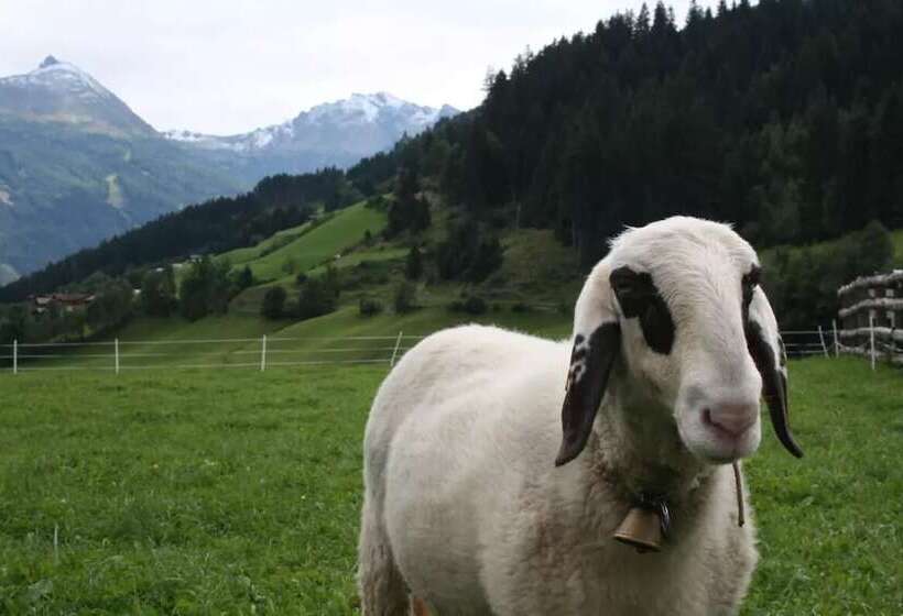 هتل Zittrauerhof   Urlaub Am Bauernhof Gastein