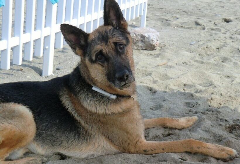 هتل Residence Oleandro