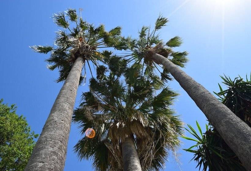 هتل Residence Oleandro