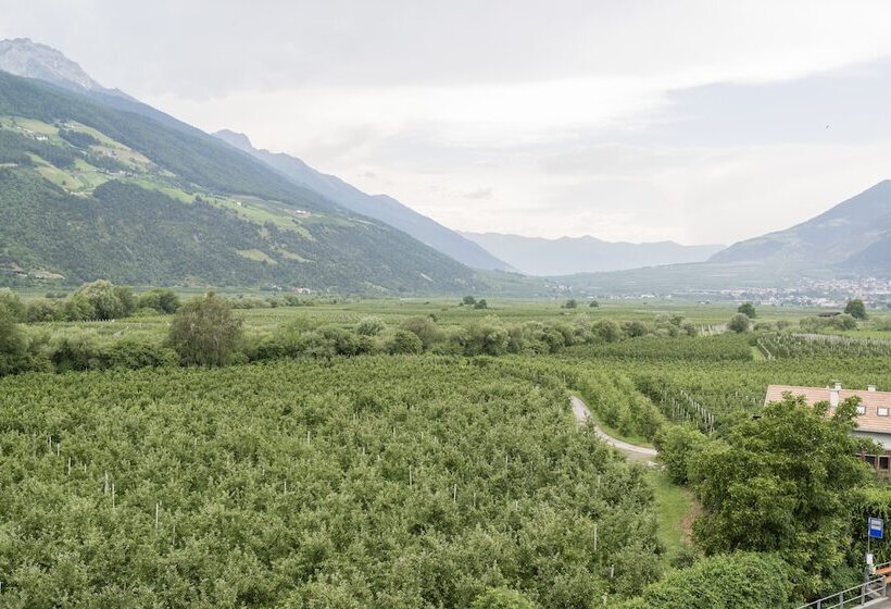 Отель Vinschgerhof