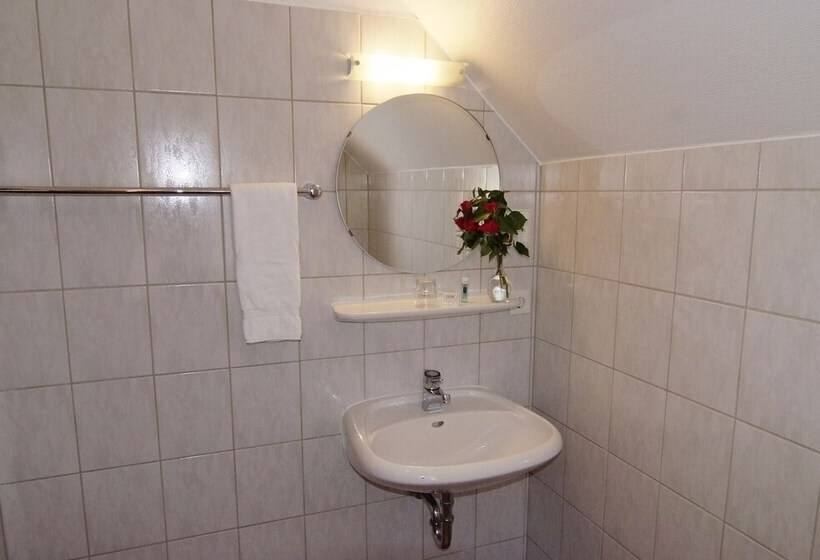 Отель Zur Traube