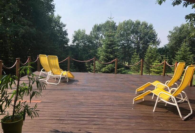 فندق Niedersächsischer Hof