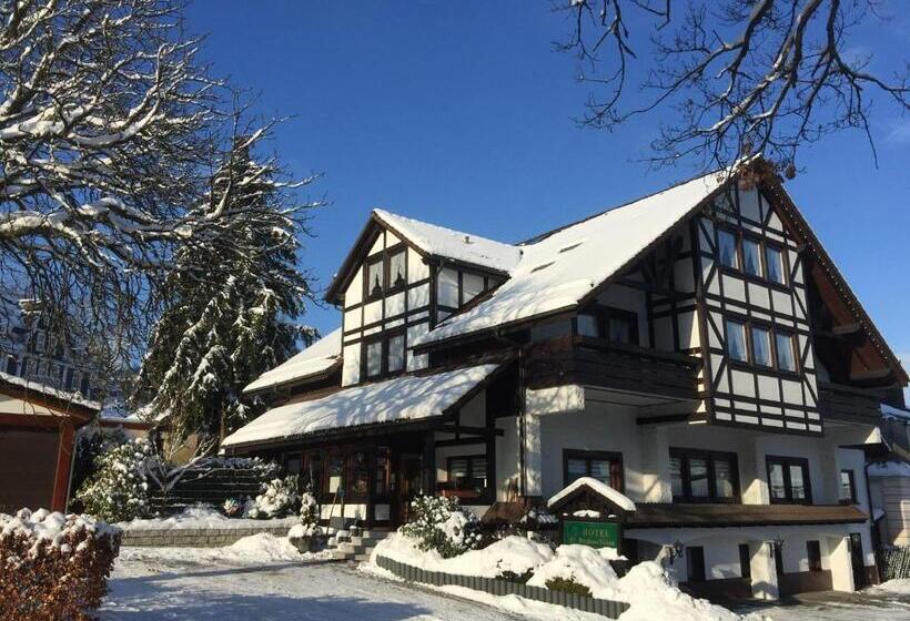 فندق Pension Berghaus Sieben