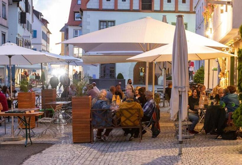 Отель Restaurant Grüner Baum Und Altes Tor