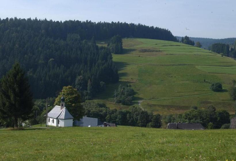 酒店 Schwarzwald Gasthof Rößle