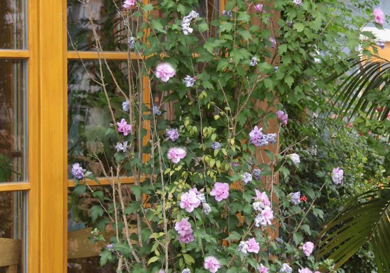 ペンション Gasthaus Sindelbuckel