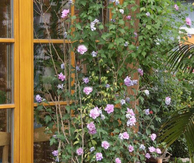 ペンション Gasthaus Sindelbuckel