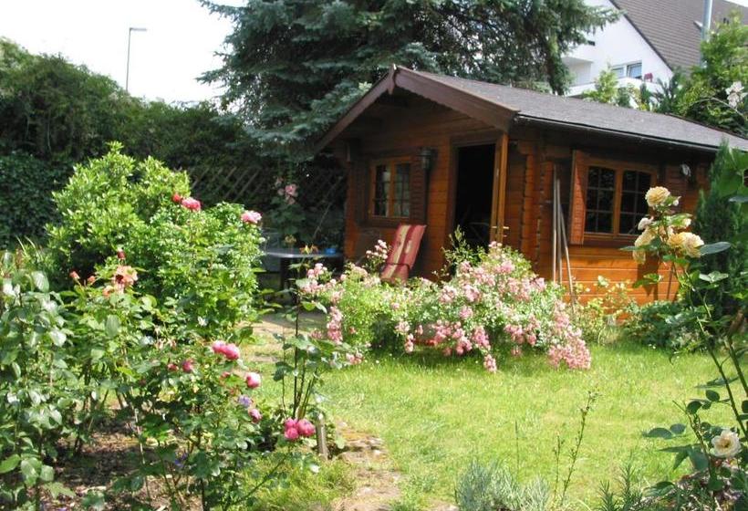 مبيت وإفطار Pension Haus Beck