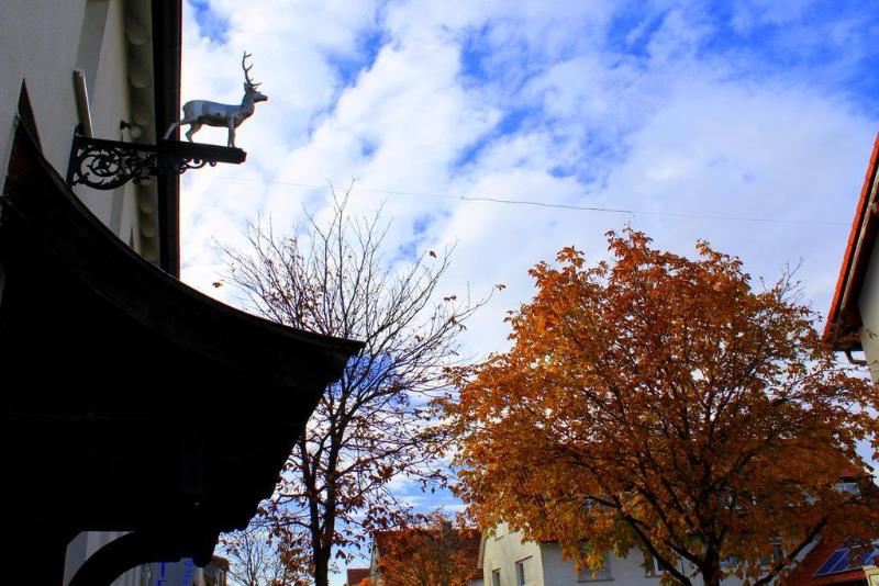 هتل Am Hirschgarten