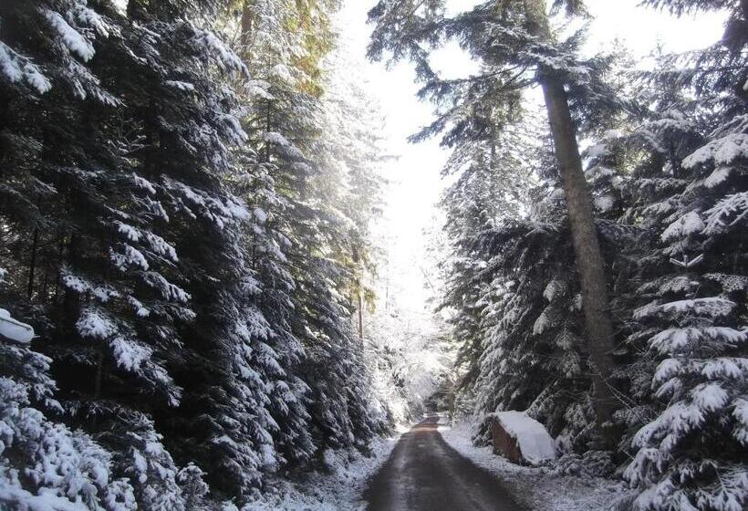 فندق Schwarzwald Gasthof Hirsch