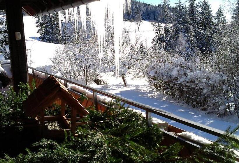 Отель Schwarzwaldgasthaus Salenhof