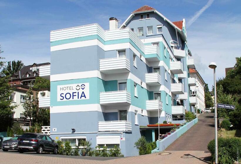 בית מלון כפרי Sofia