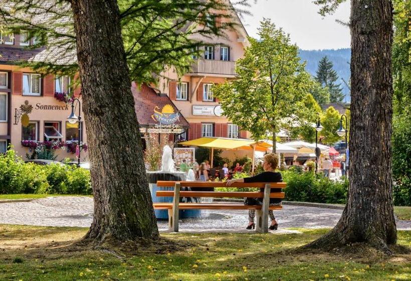 Отель Sonneneck Titisee  Adults Only