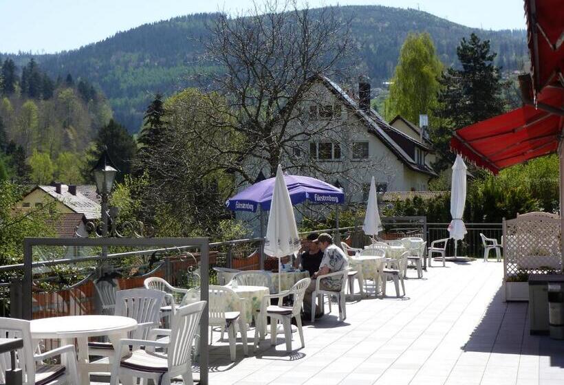 ホテル Waldschlösschen