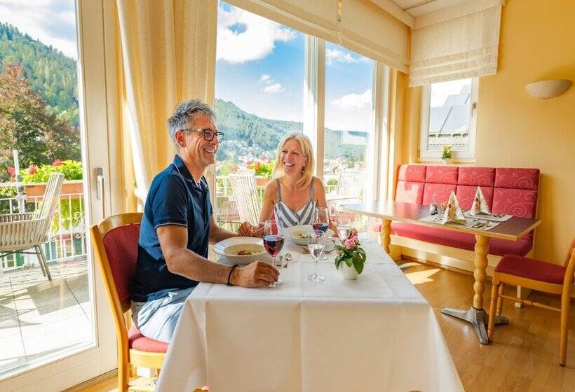 Wellnesshotel Rothfuss Mit Spa Und 2 Schwimmbädern