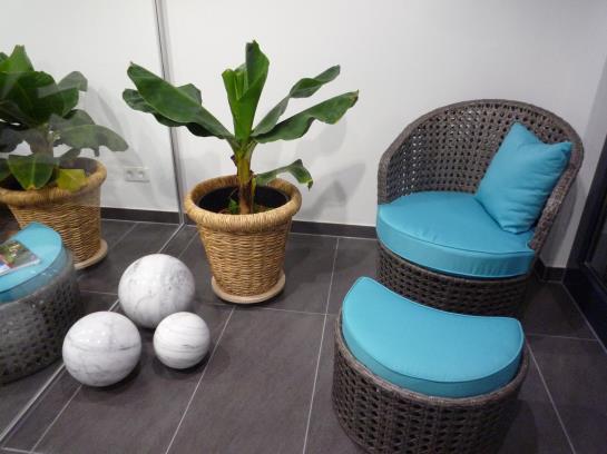 בית מלון כפרי Burgholz