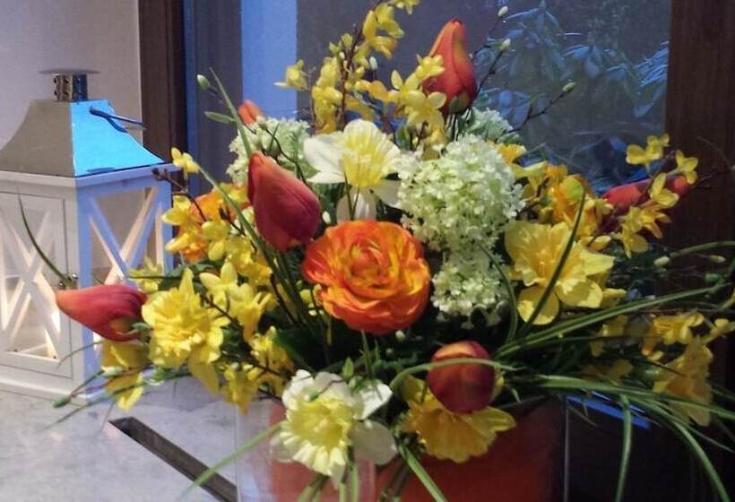 هتل Haus Nussbaum