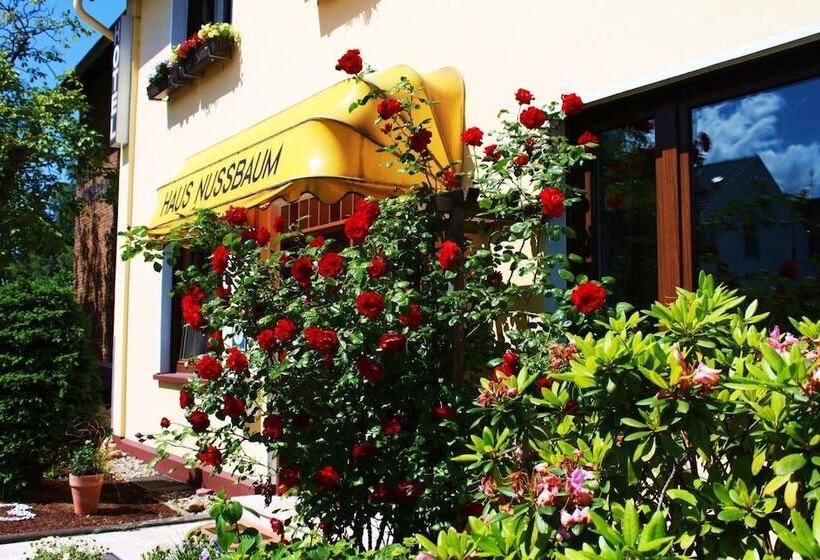 هتل Haus Nussbaum