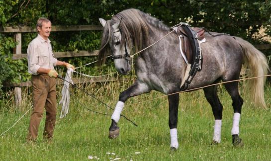 فندق Vita-farm Bergmann-scholvien