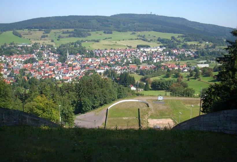 ホテル Zur Guten Quelle