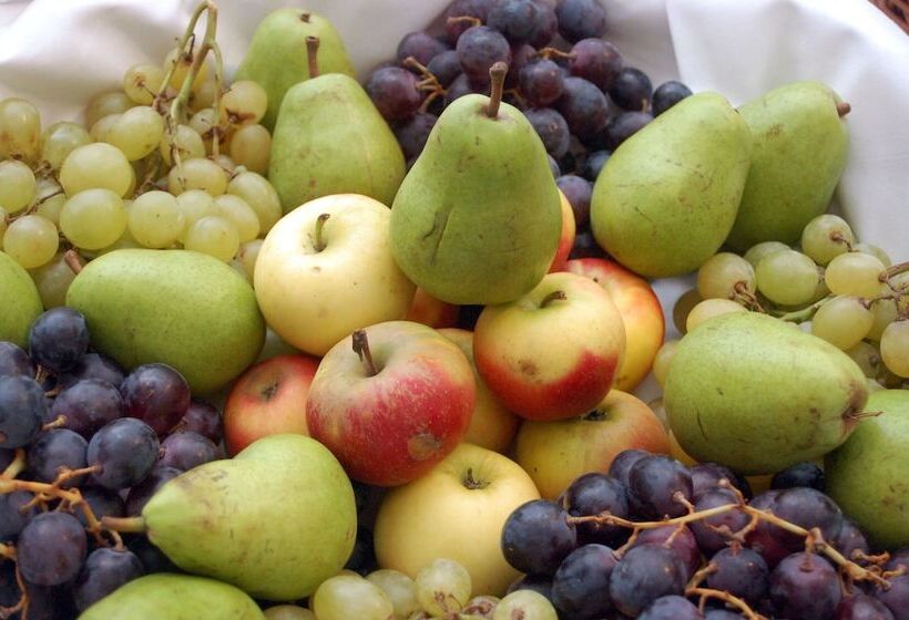 בית מלון כפרי Stiftsberg   Bildungs  Und Freizeitzentrum