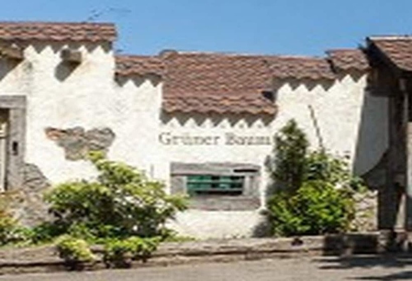 פנסיון Landgasthaus Grüner Baum