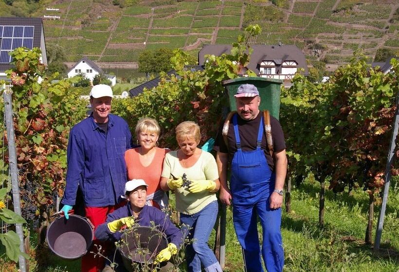 Winzerhotel   Restaurant Zum Moselstrand