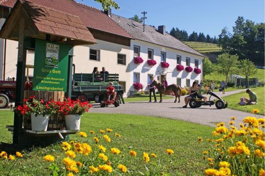 Bauernhof Loeschgruber