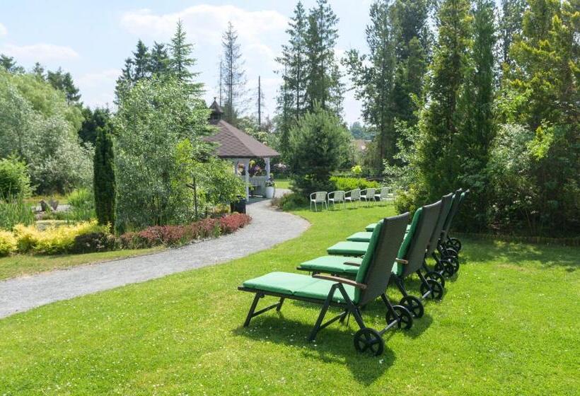 Отель Centrum Ulan Spa