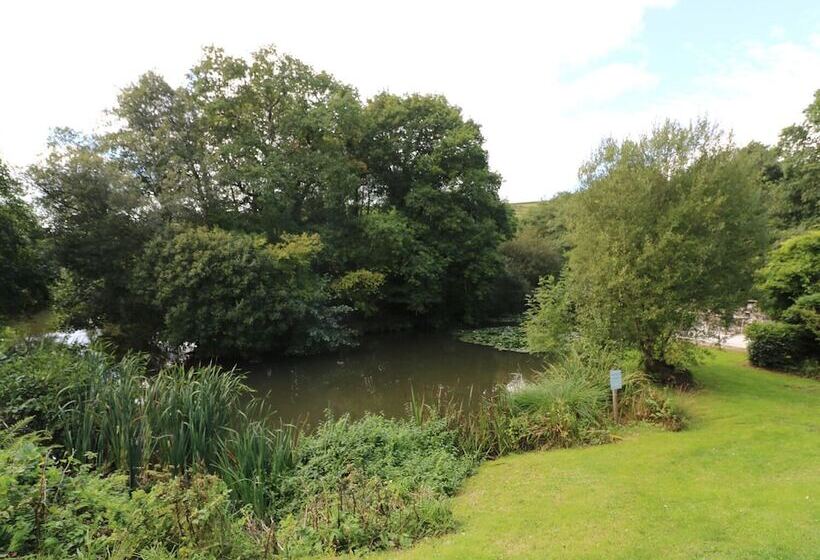 6 Streamside