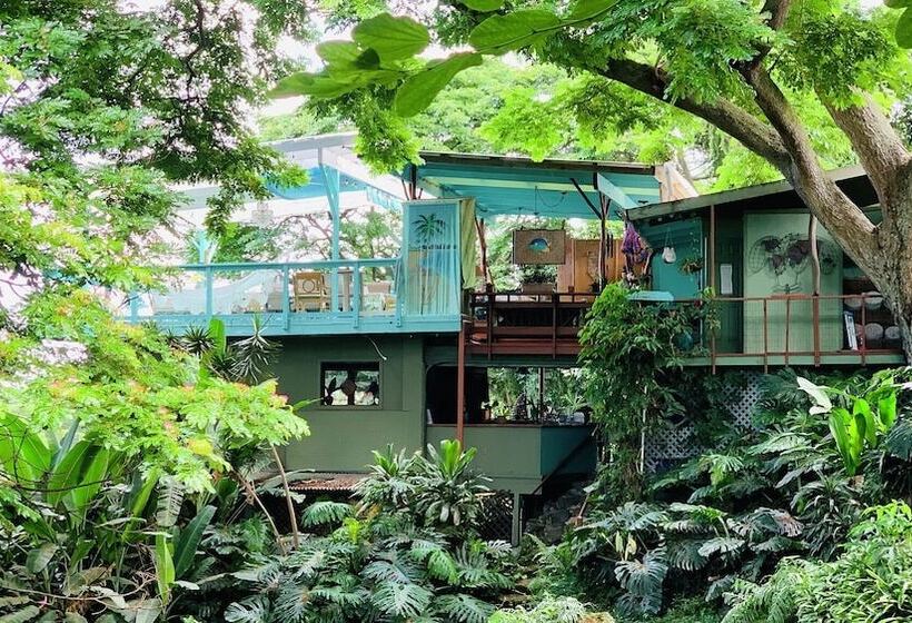 مبيت وإفطار Dragonfly Ranch